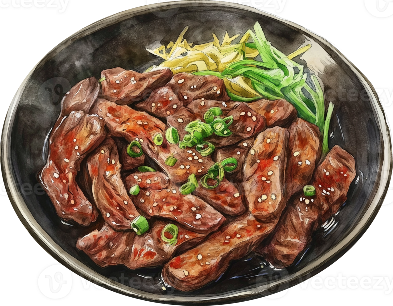 A painting of beef and green onions in a bowl png