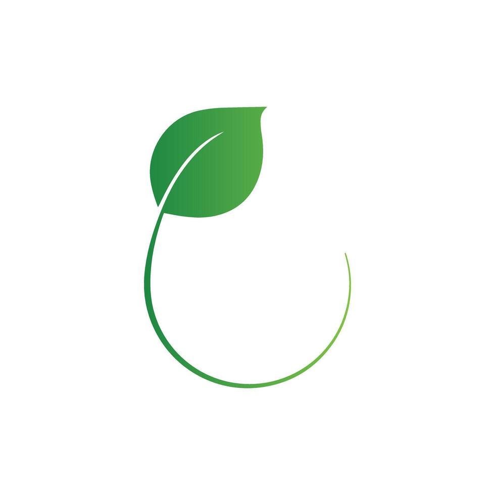 Elegant Green Leaf Logo, Nature Symbol, Eco-Friendly Branding Design vector
