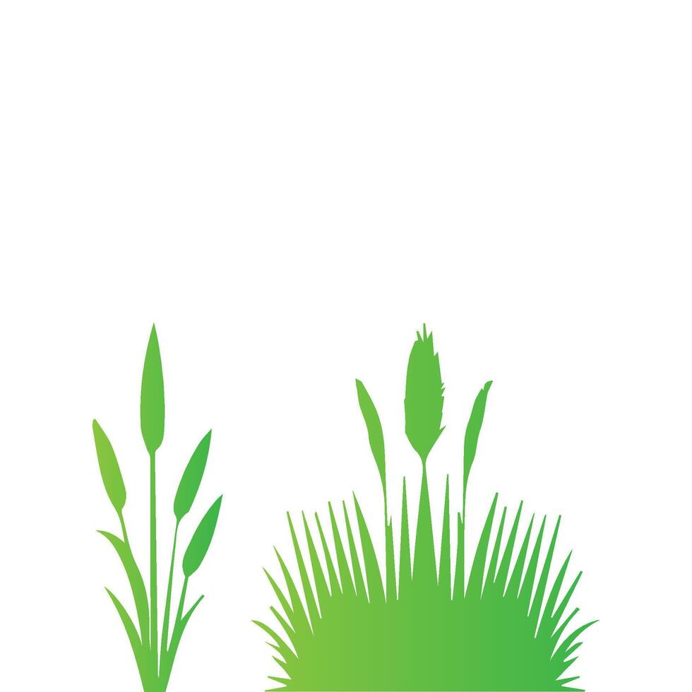 grass green on white background vector