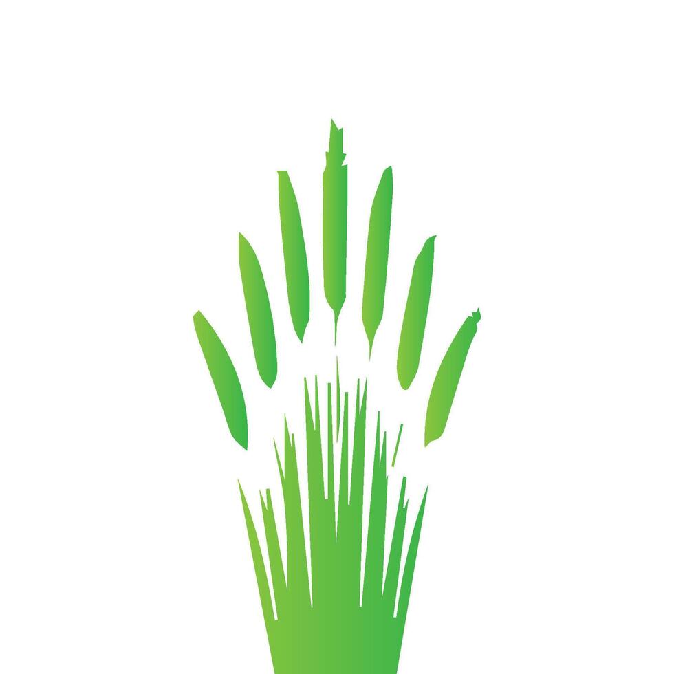 Green grass. Nature illustration, land ecosystem vector