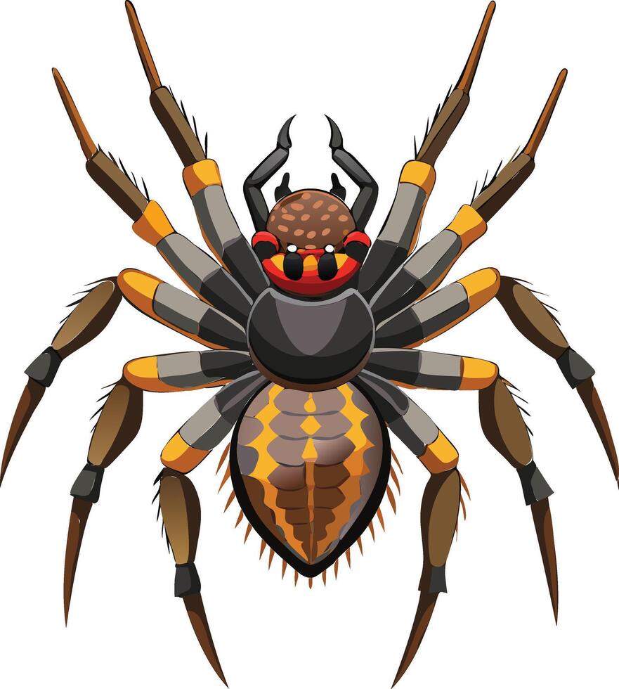 Realistic Spider Available on EPS File vector