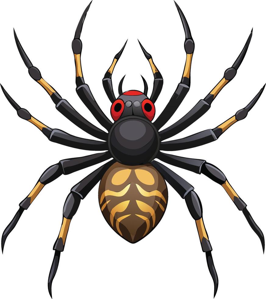 Wild Spider Available on EPS File vector