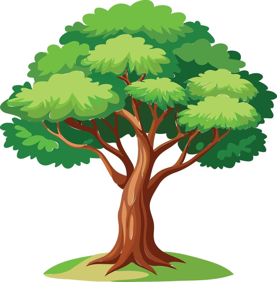 Giant Redwood Tree Available on EPS File vector