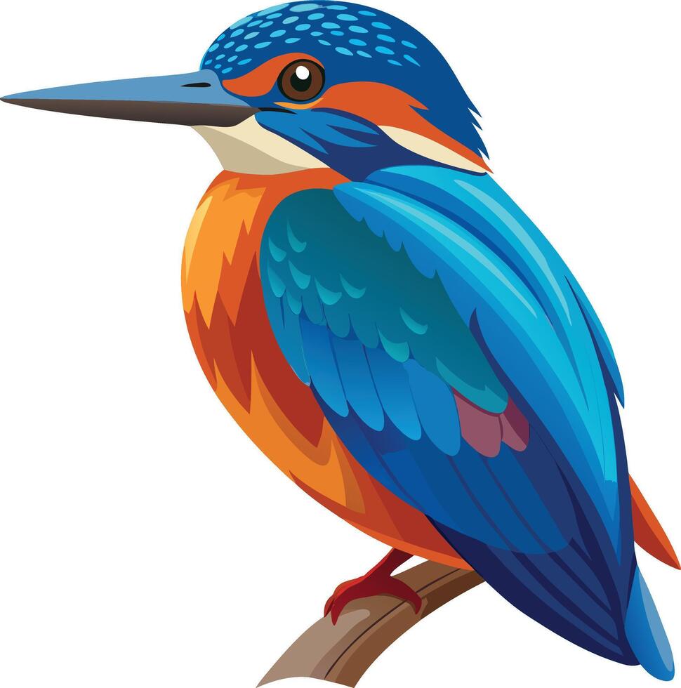Kingfisher Catching Fish in the River Available on EPS File vector