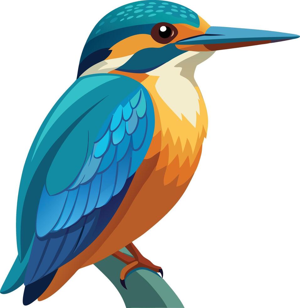 Kingfisher Perched on a Branch Available on EPS File vector