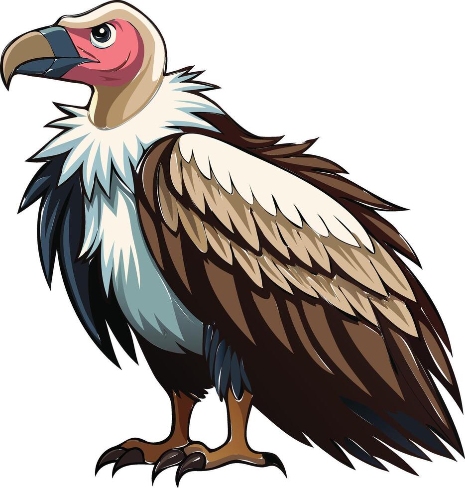 Regal Vulture Available on EPS File vector
