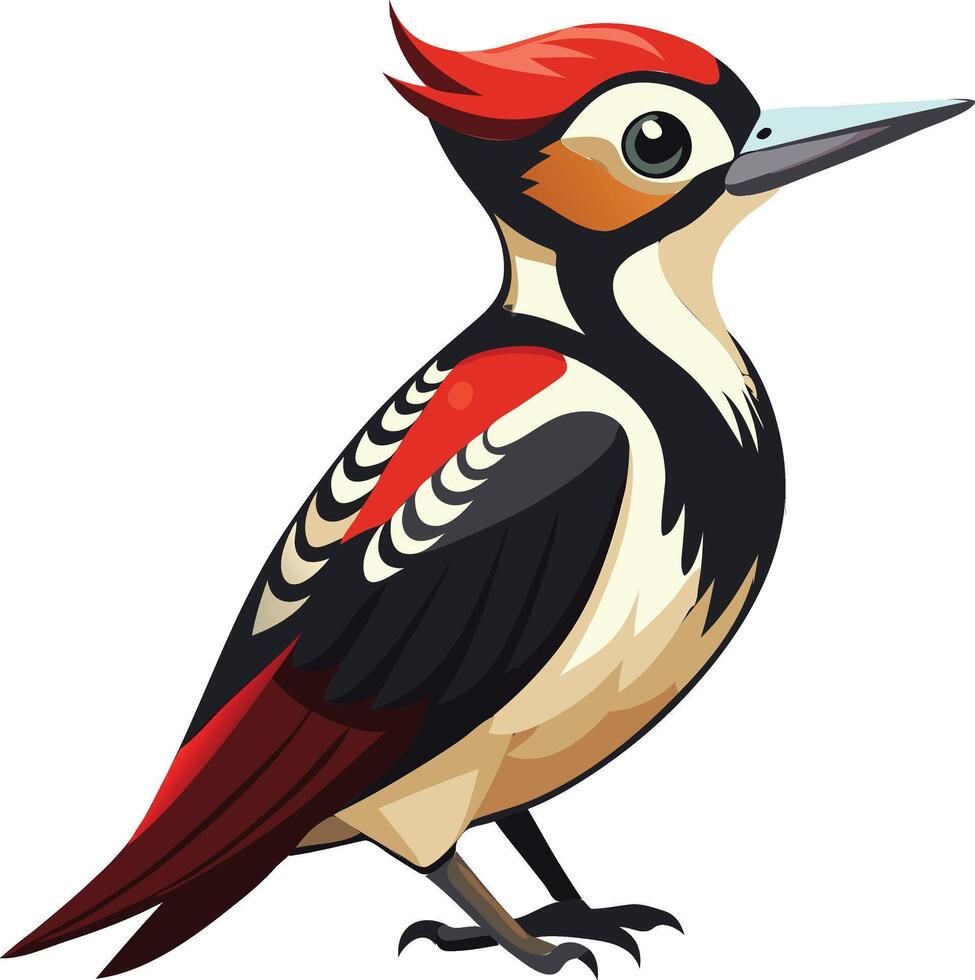 Bold Woodpecker Available on EPS File vector