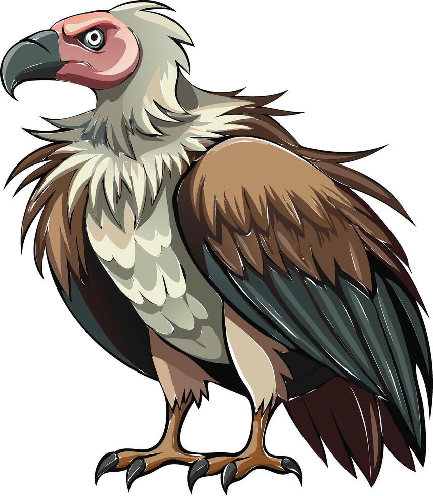 Wild Vulture Available on EPS File vector