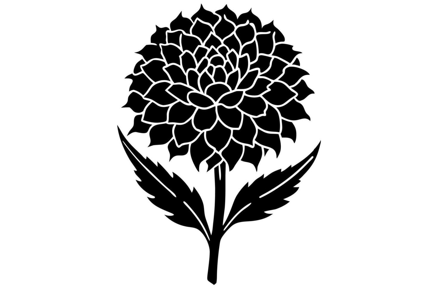 Hand Drawn Marigold Outline in Classic Style vector