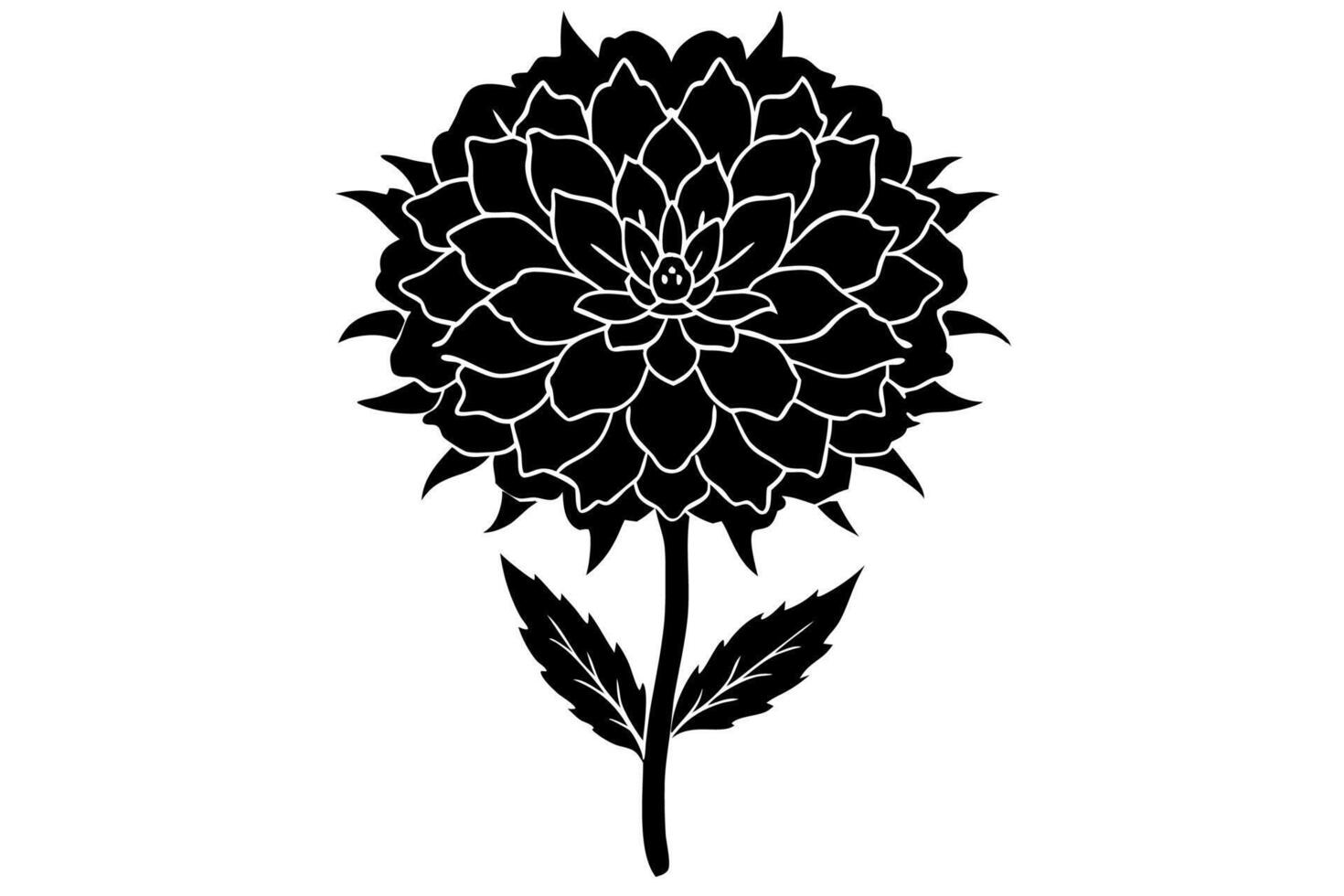 Minimalist Black and White Marigold Illustration vector