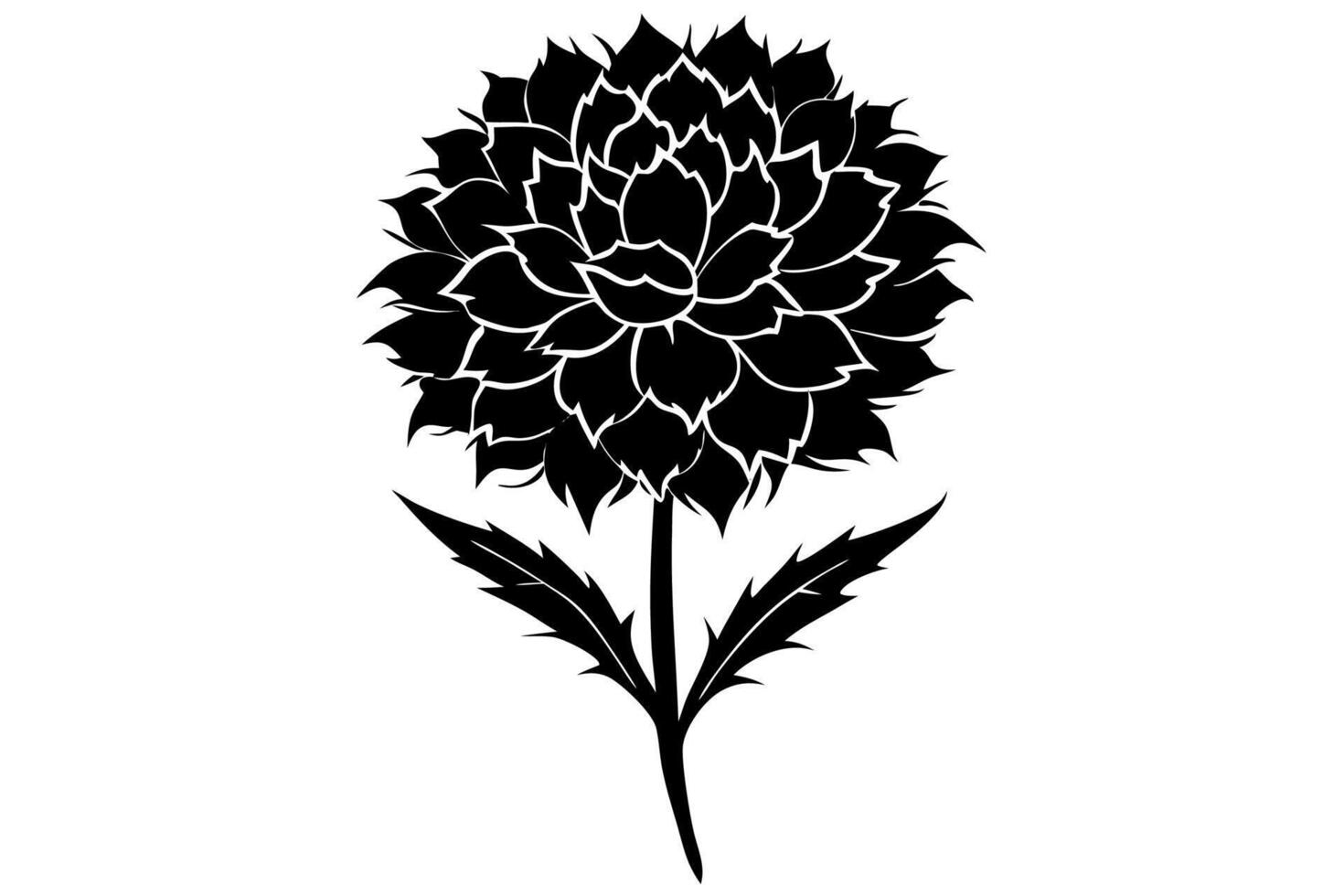 Classic Black and White Marigold Composition vector