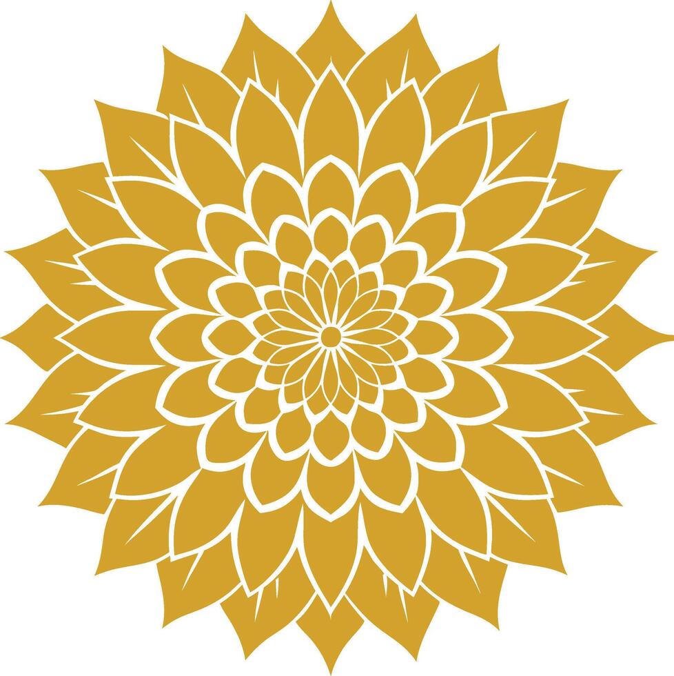 Mandala Pattern Designs vector