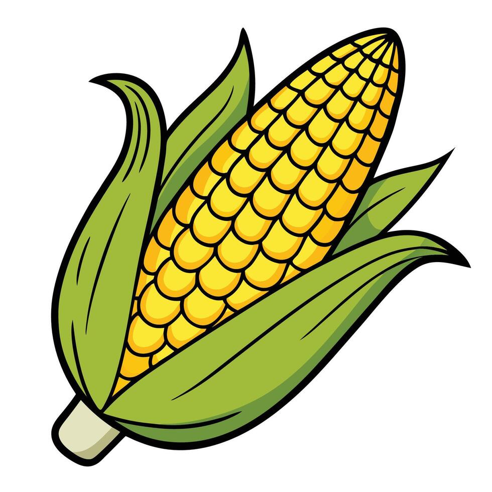 Corn isolated on white background vector