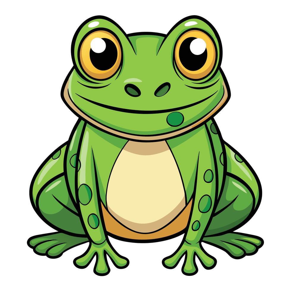 Frog isolated on a white background vector