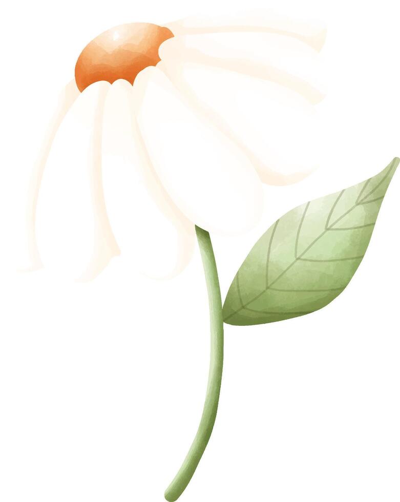 pink flower and white flower13 vector