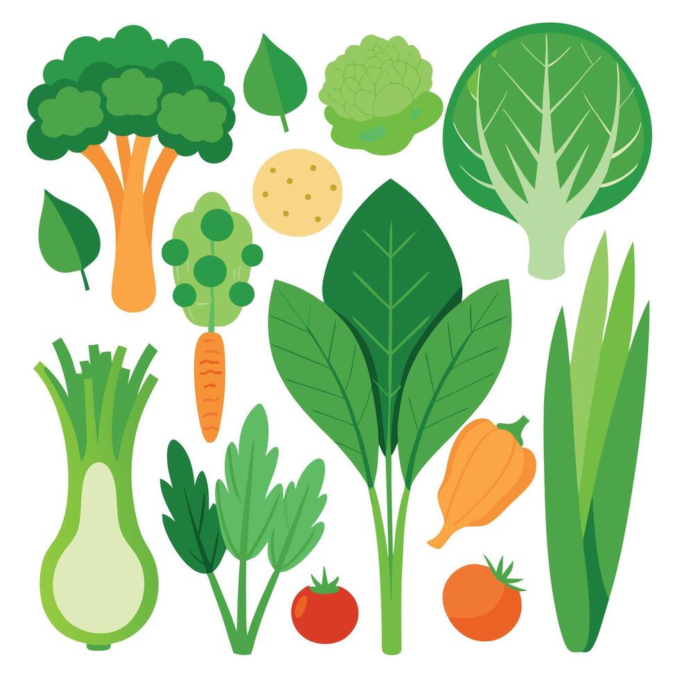 Set of an Colorful fresh organic vegetables design on a white background vector