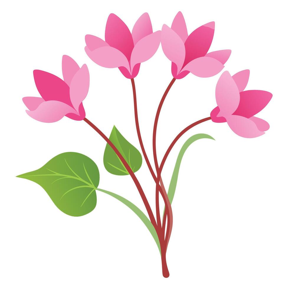Cherry blossom sakura flowers Illustration on a white back ground vector