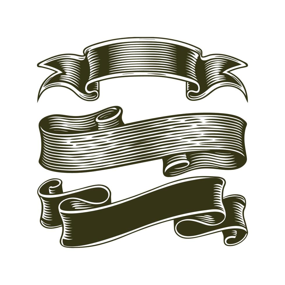 Elegant Calligraphy Style Vintage Ribbon Decorative Borders vector