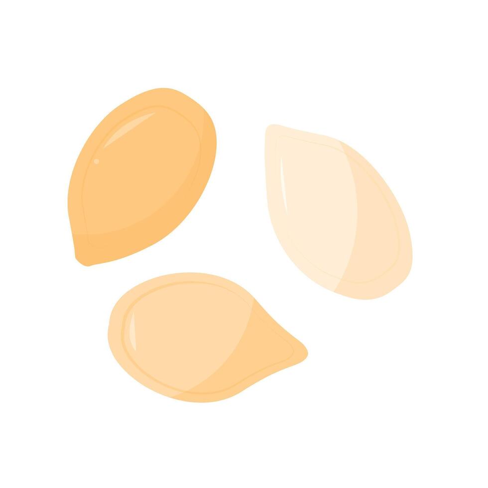 Shelled pumpkin seeds, healthy food and snacking concept vector