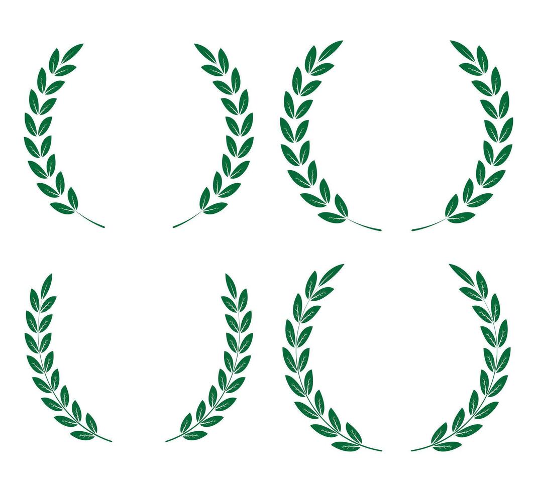 Decorative Greek Olive Branch Hand drawing Floral wreath design collection on a white background vector