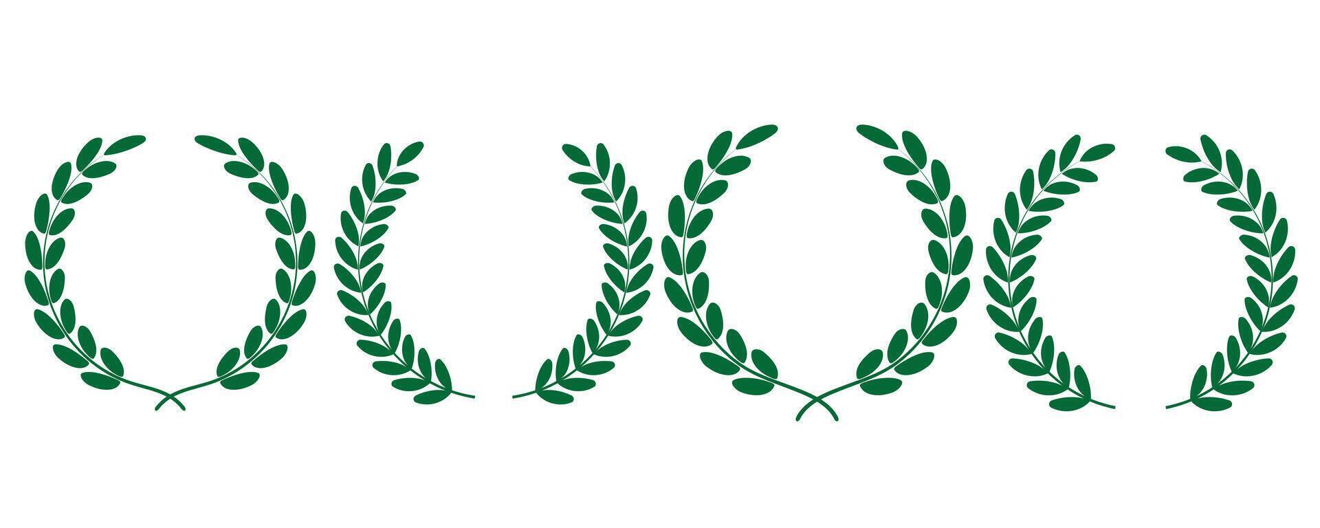Set of Green Greek Olive Branch Hand drawing Floral wreath collection vector