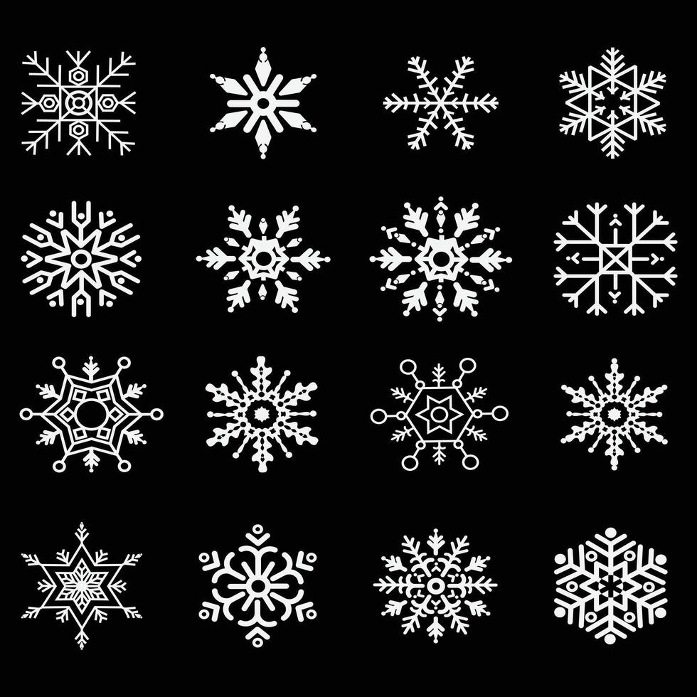 Beautiful Snowflake Collection vector