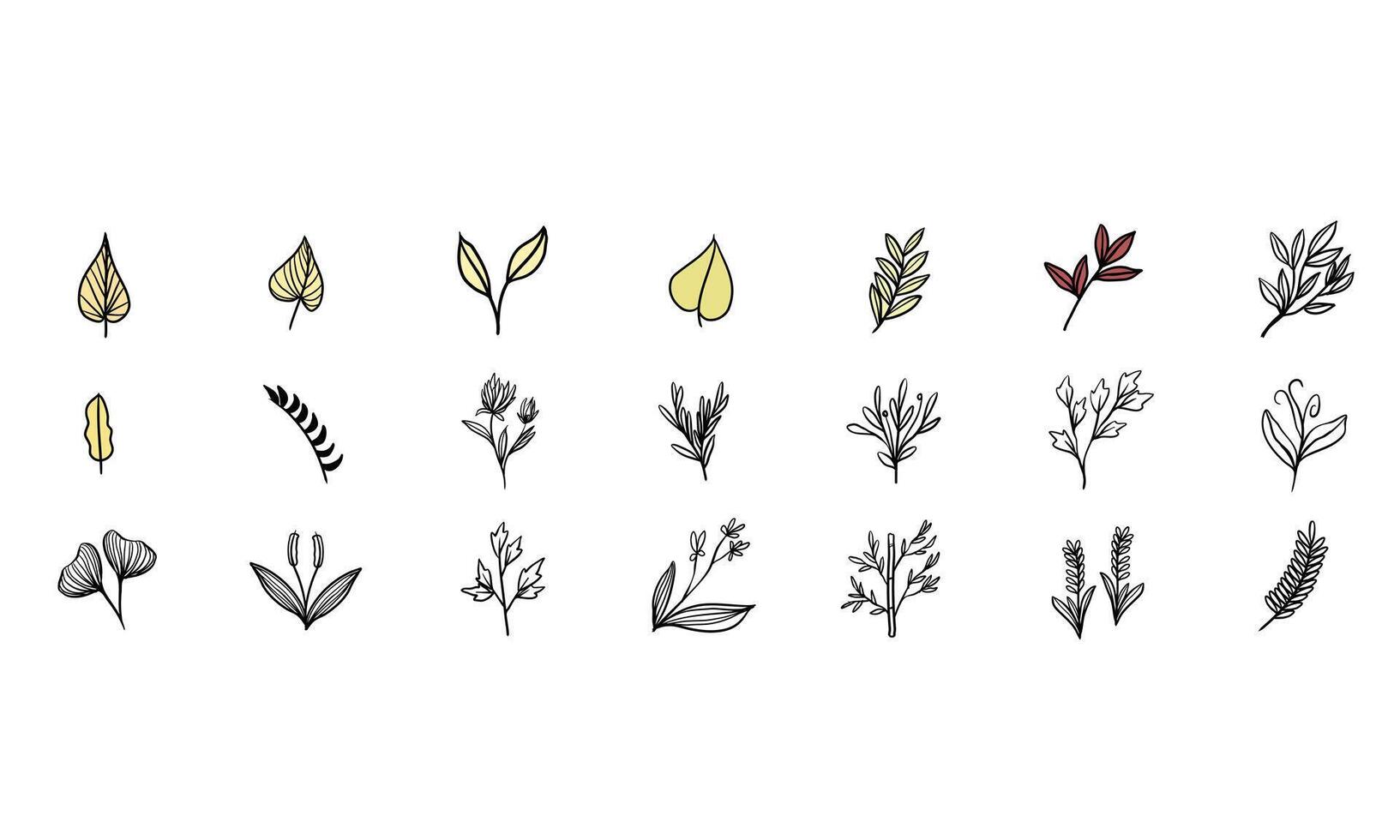 branch leaf handdrawn collection vector