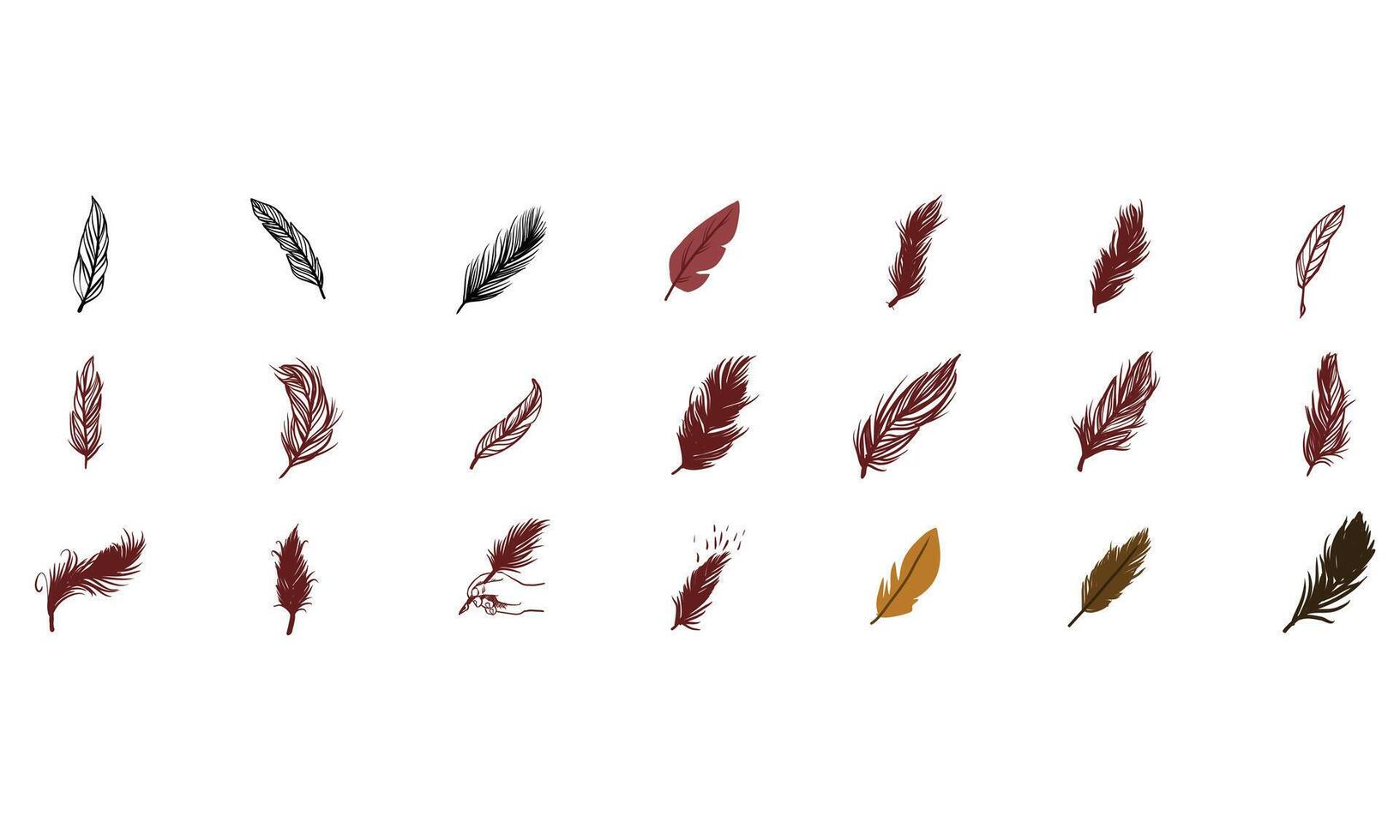bird feathers handdrawn collection vector