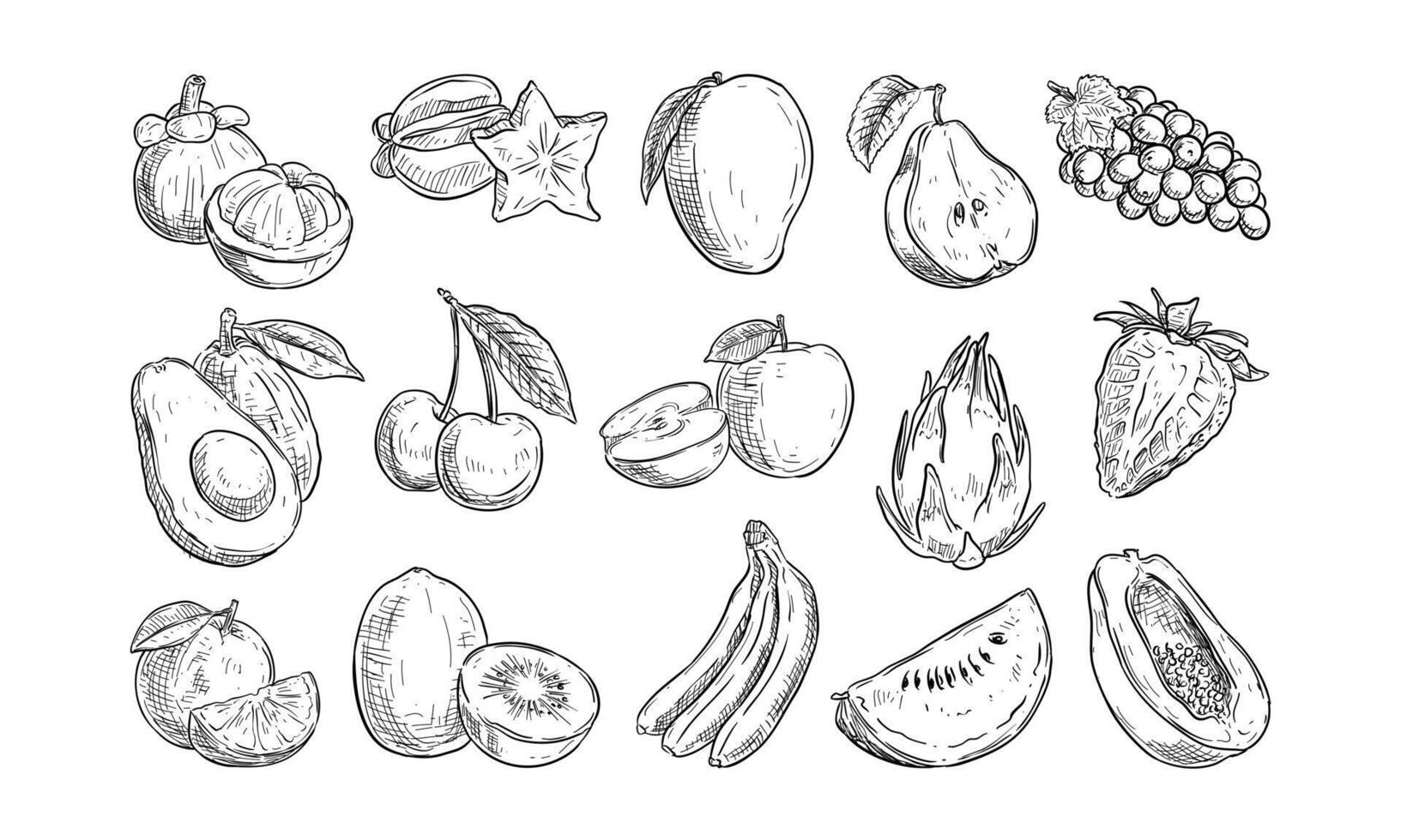 organic fruits handdrawn collection vector