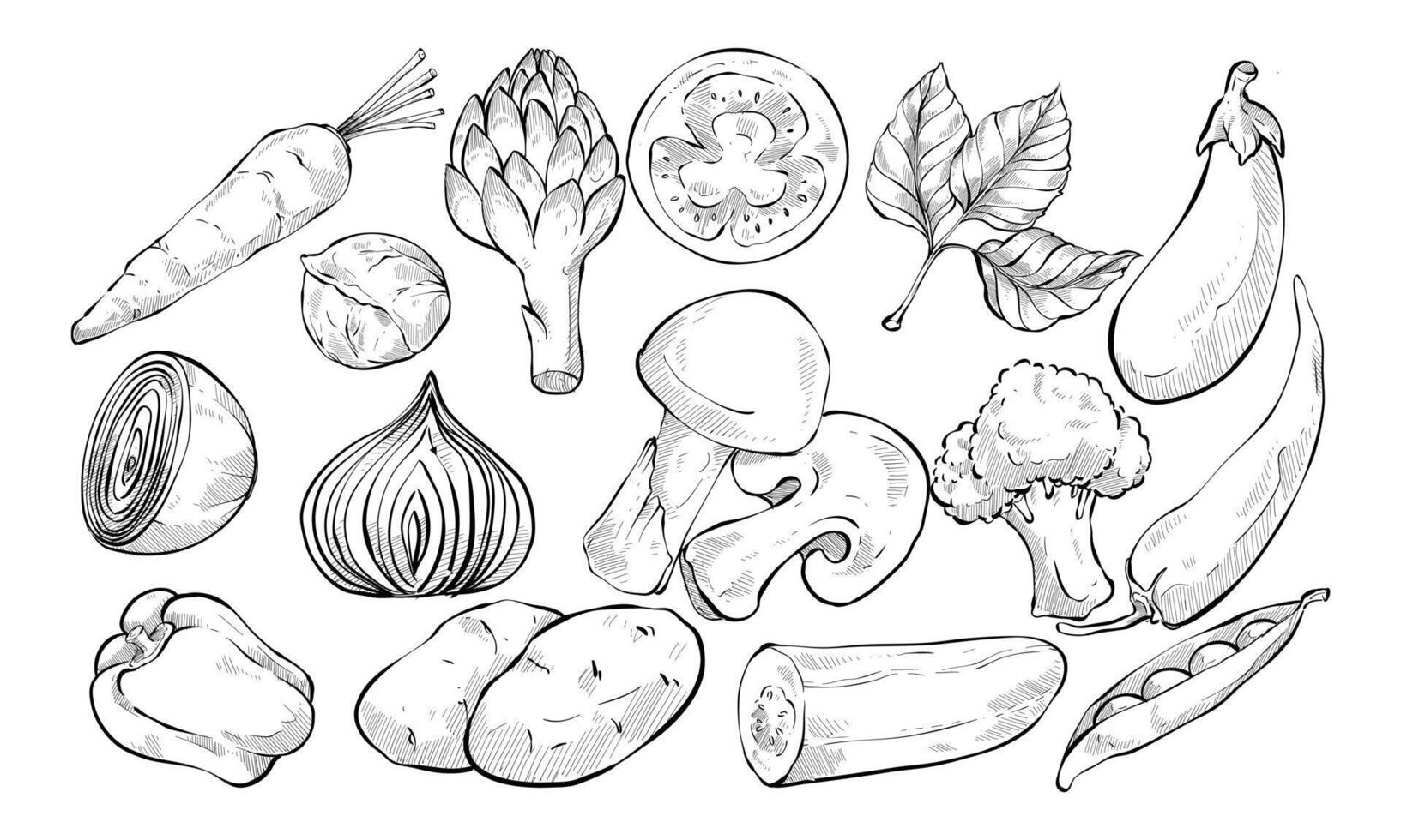 organic vegetables handdrawn collection vector