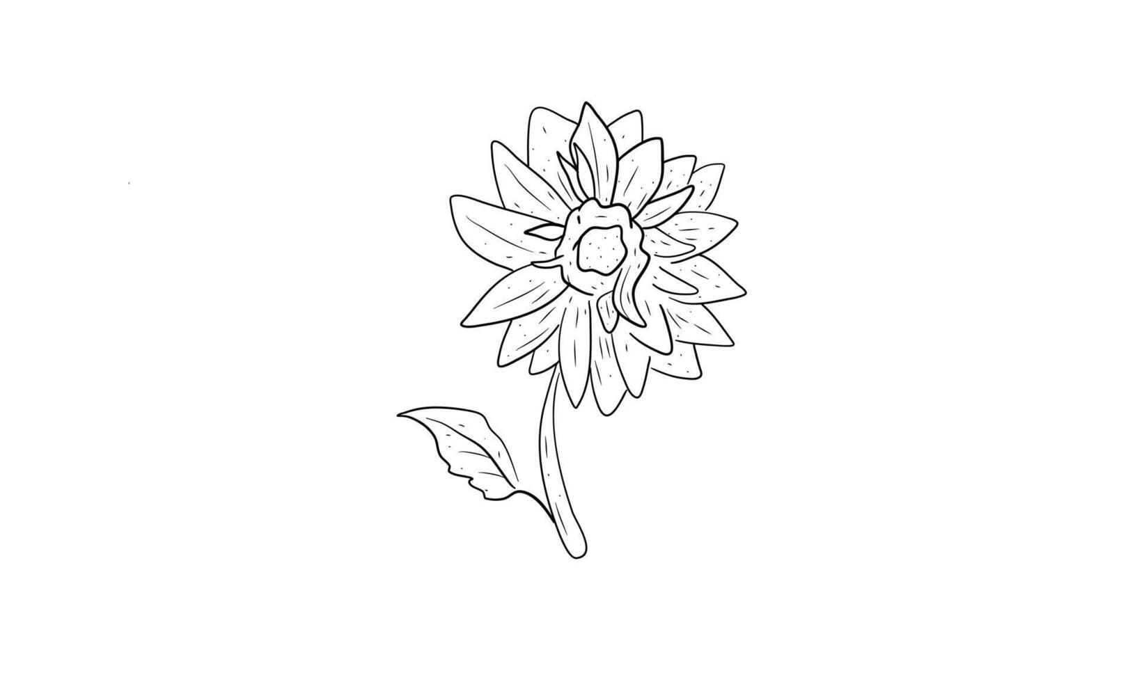 nature sunflower handdrawn illustration vector