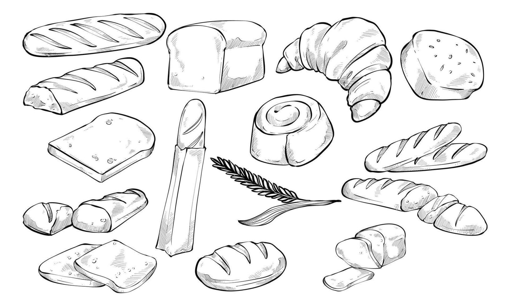 loaf bread handdrawn collection vector