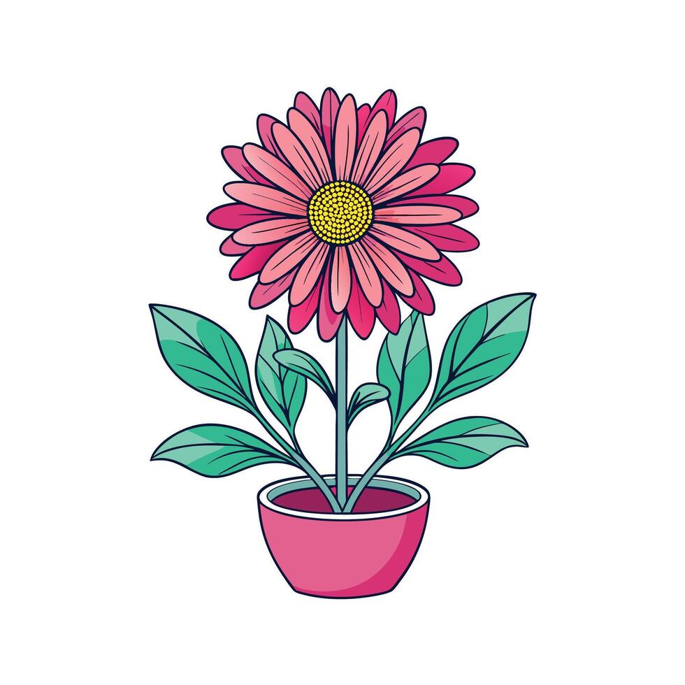 Charming Argyranthemum Houseplant Design vector