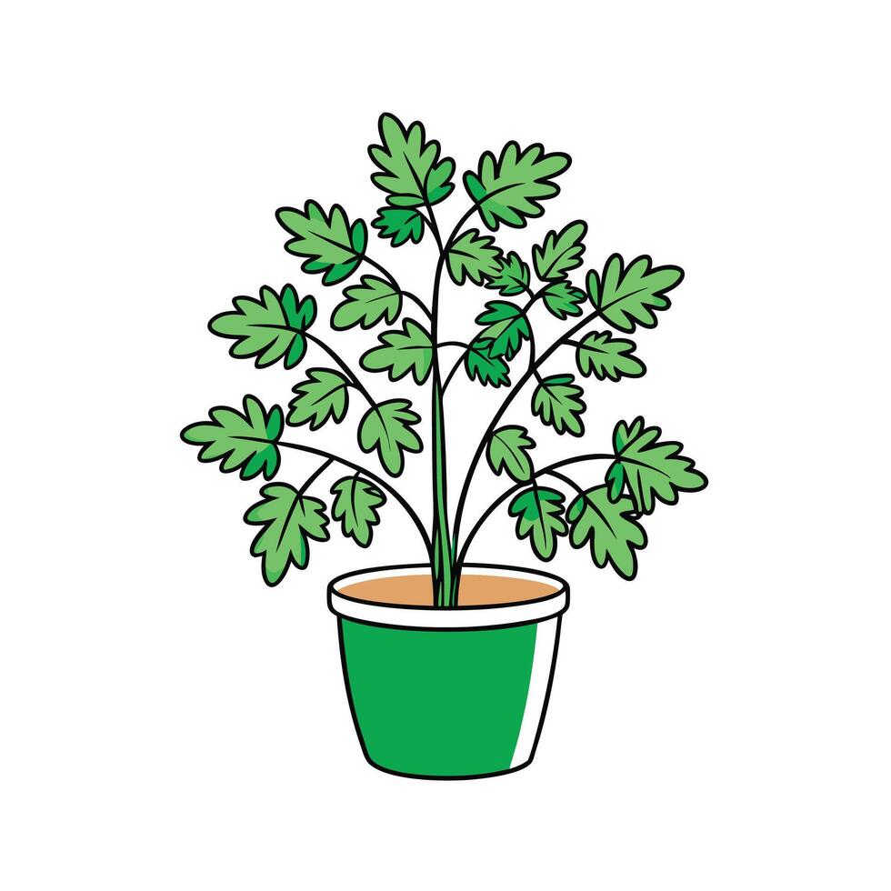 Bold Chervil Houseplant Design vector