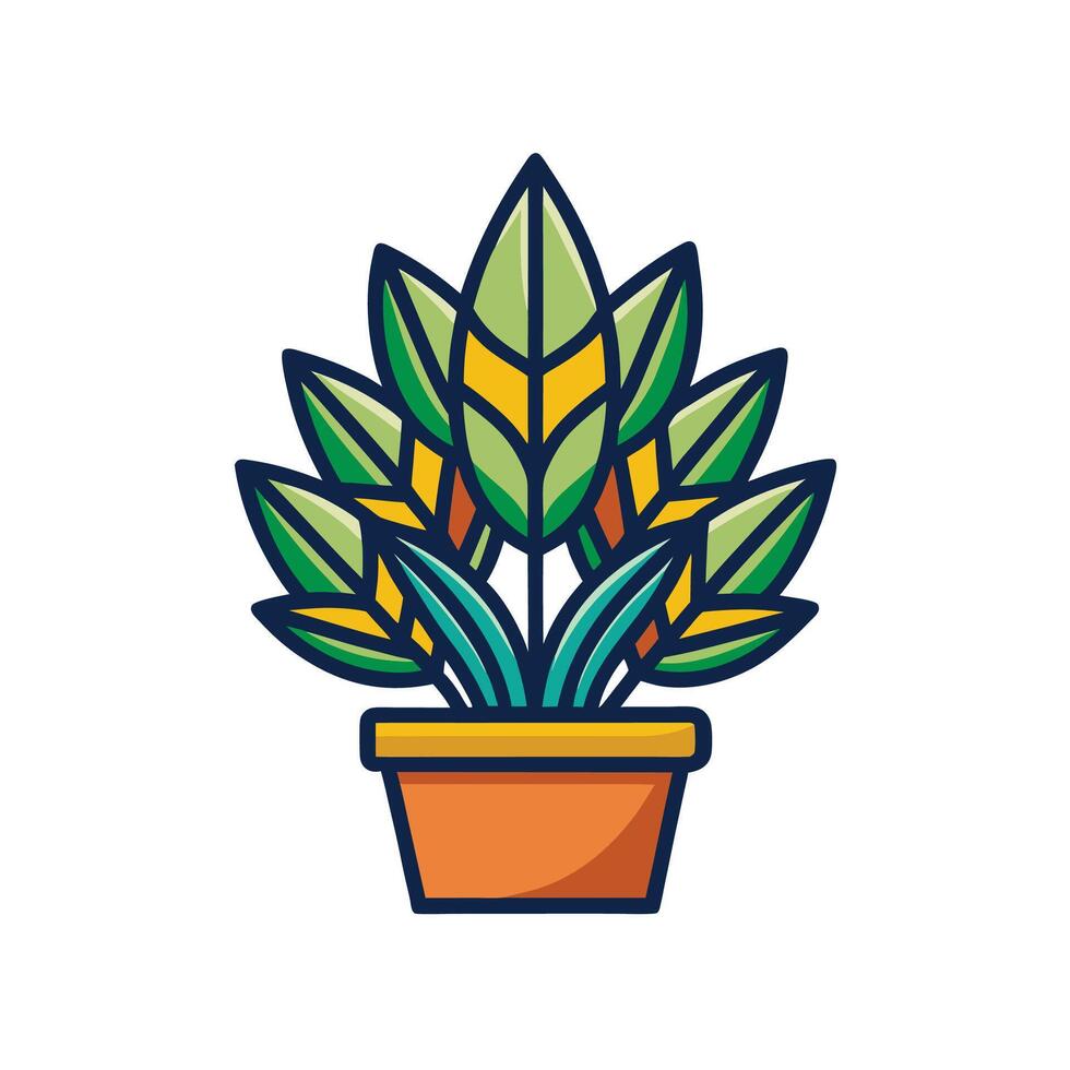 Unique Yemeni Houseplant Image vector