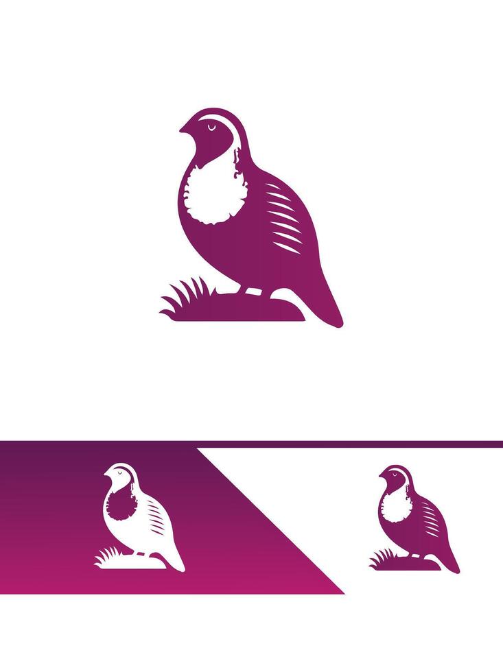 best Pure Quail vector