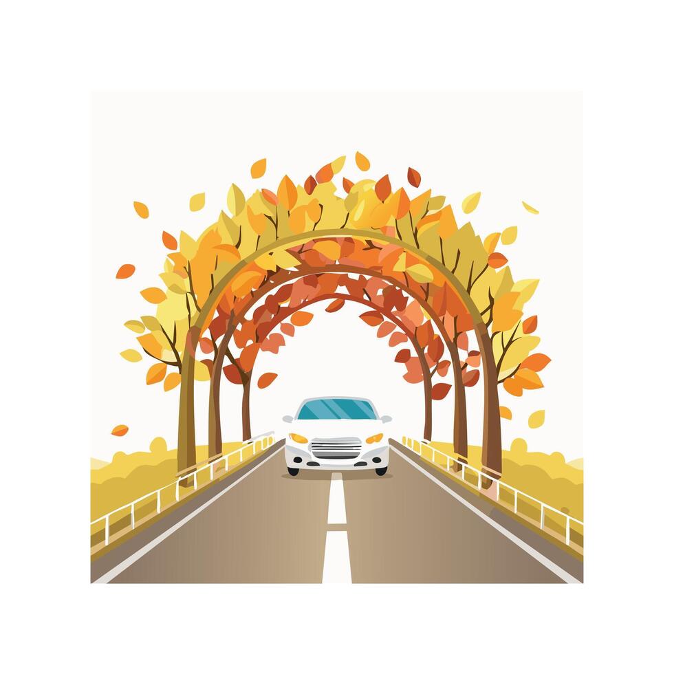 car driving through a tunnel of trees in autumn. vector