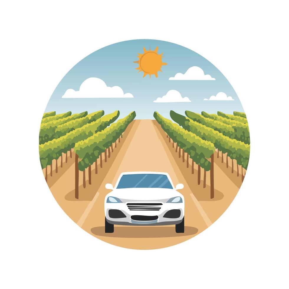 car driving through a vineyard with rows of grapevines. vector