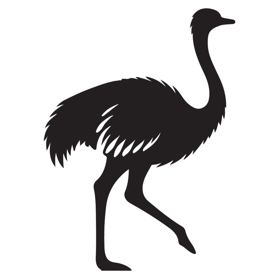 Silhouette of Ostrich Art Illustration for Bird Design vector