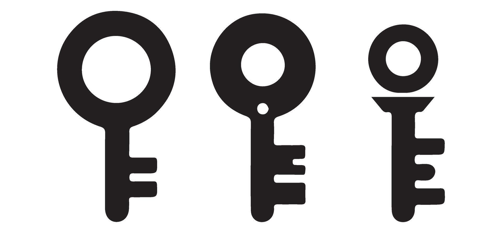 Silhouette Key Designs for Access and Security Projects vector
