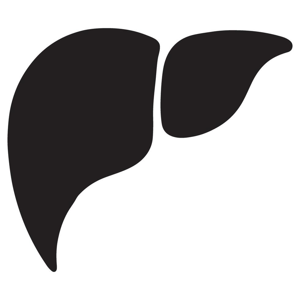 Human Liver Silhouette Illustration Anatomy and Health Concepts vector