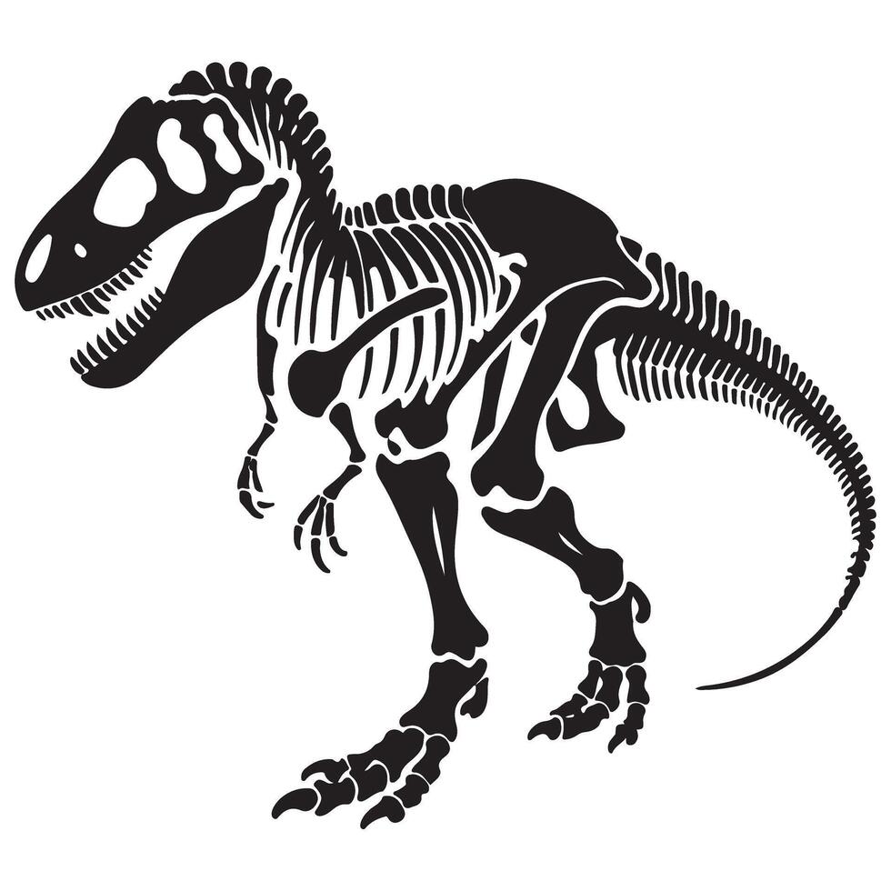 Tyrannosaurus Rex skeleton illustration T Rex dinosaur bone structure vector