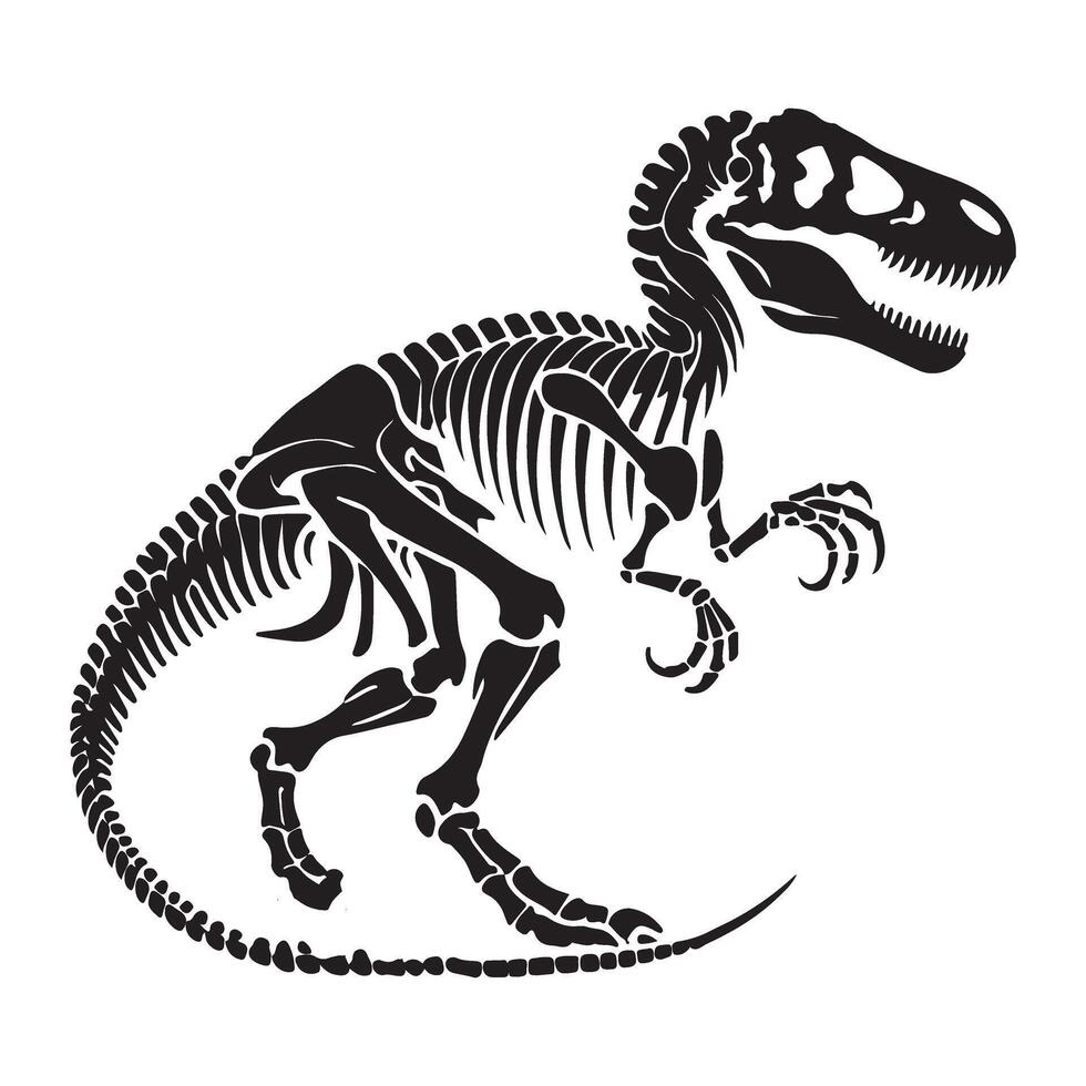 Tyrannosaurus Rex Skeleton Image Illustration for Fossil Lovers vector