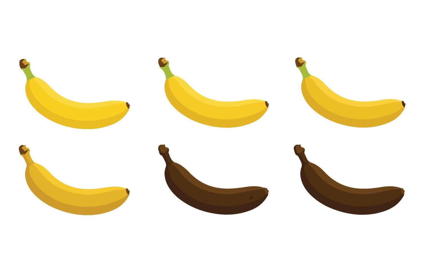 Banana ripeness yellow healthy set growing maturity art vector