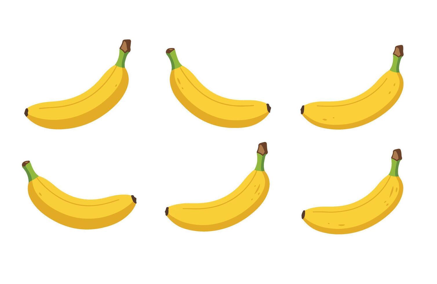 Fresh to overripe banana ripeness yellow healthy set vector