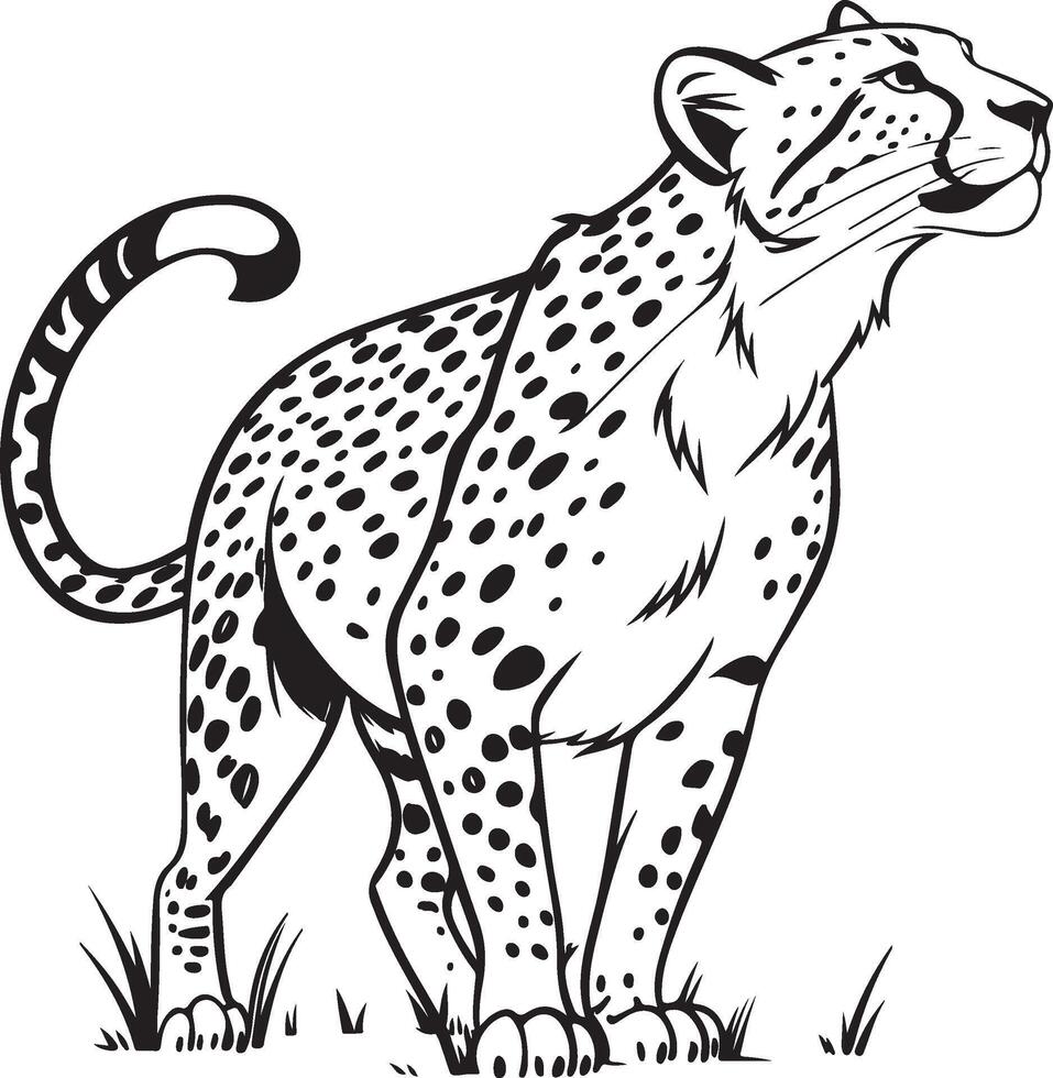 Minimalist Cheetah Drawing vector