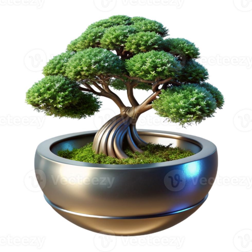 Serene Bonsai Tree in Modern Pot A 3D Render png
