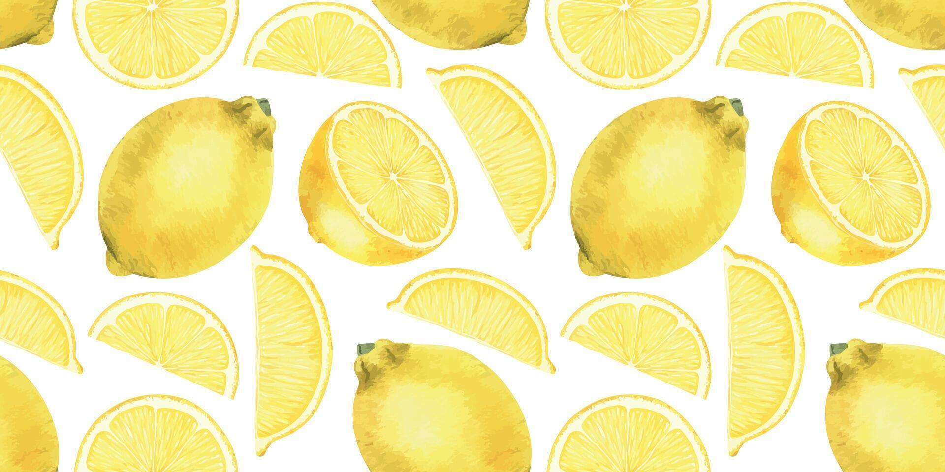 Juice lemon slices and whole fruits. Hand drawn watercolor seamless Surface pattern Design. Background of Tropical citrus fruits for tablecloth, package, cosmetic, textile, fabric vector