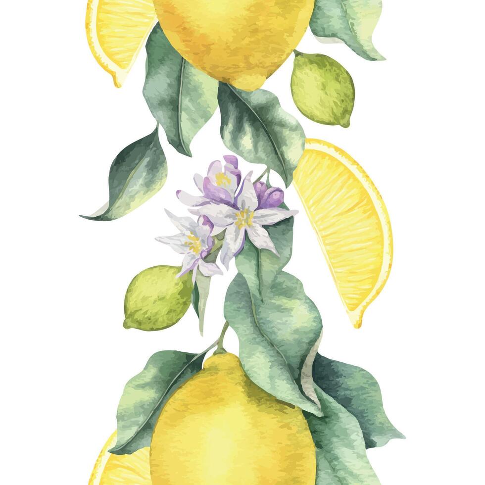 Lemon Branches with fruits, lemon slices and leaves. Isolated hand drawn watercolor seamless border. Banner of summer citrus fruits. Design for menu, package, cosmetic, textile, cards vector