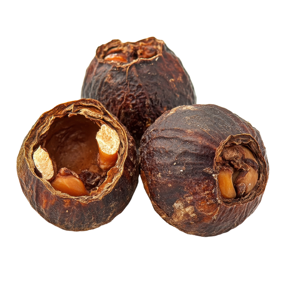 Soap nut variety exhibited on a plain isolated white backdrop for clear visibility and detail, Soap nut isolated on Transparent background png